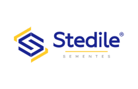 STEDILE